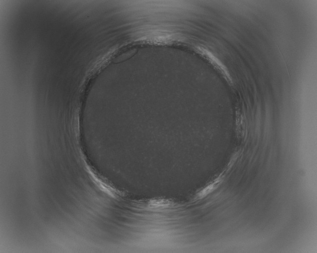 X0000074010493200609061053