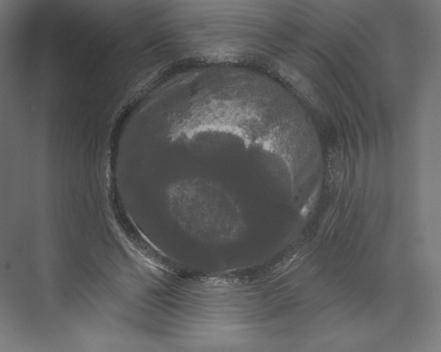 X0000074010494200609061053