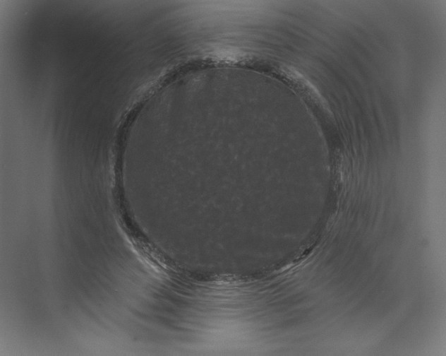 X0000074010496200609061053