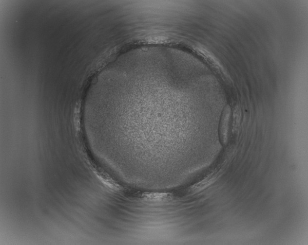 X0000074010497200609061053