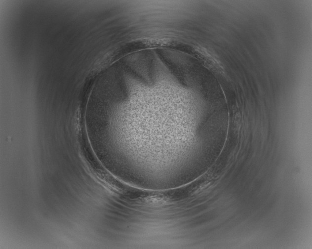 X0000074010498200609061053