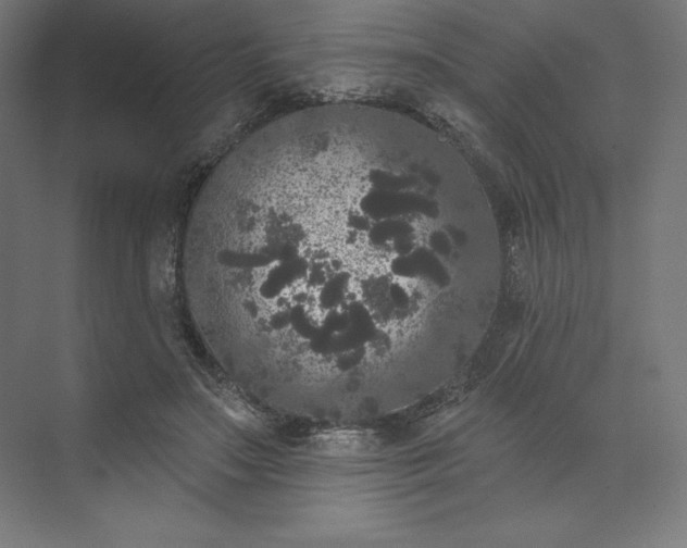 X0000074010499200609061053