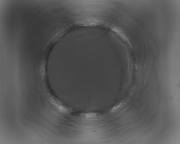 X0000074010501200609061053