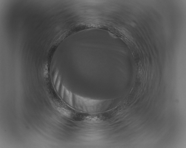 X0000074010502200609061053