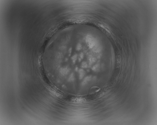 X0000074010503200609061053