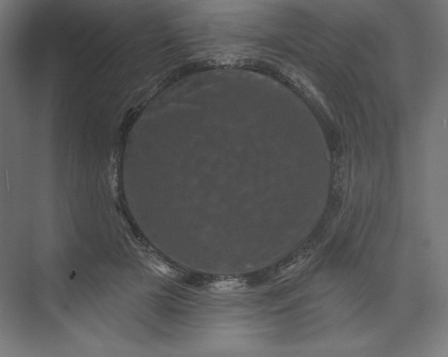 X0000074010505200609061053