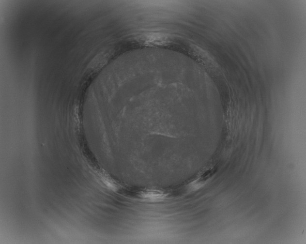 X0000074010506200609061053