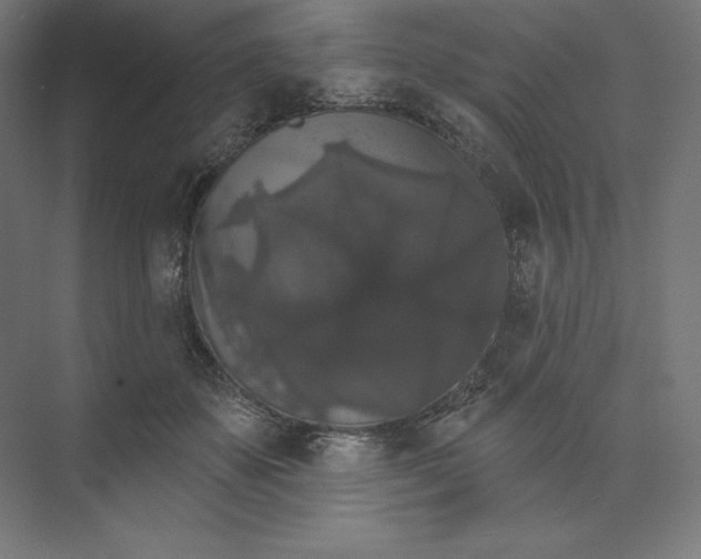 X0000074010507200609061053