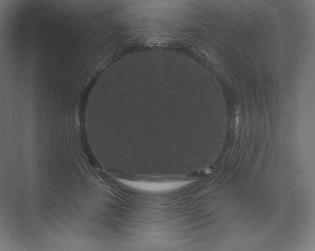 X0000074010508200609061053