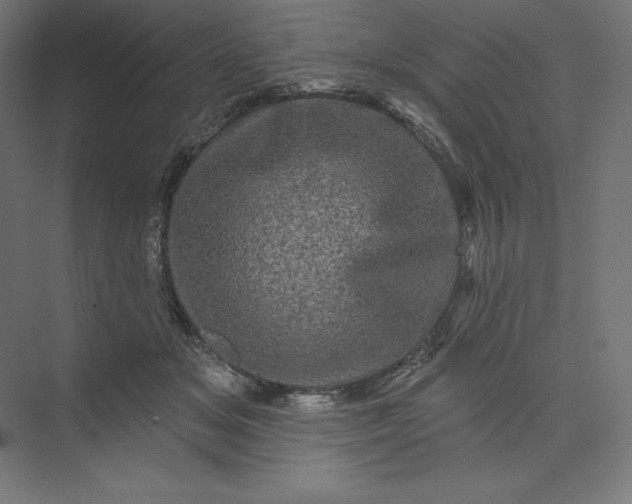 X0000074010509200609061053