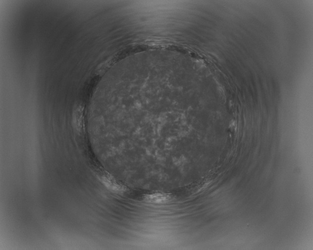 X0000074010511200609061053