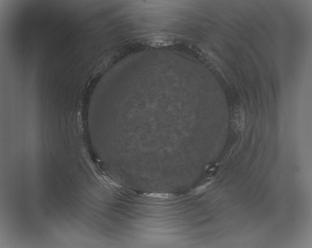 X0000074010512200609061053