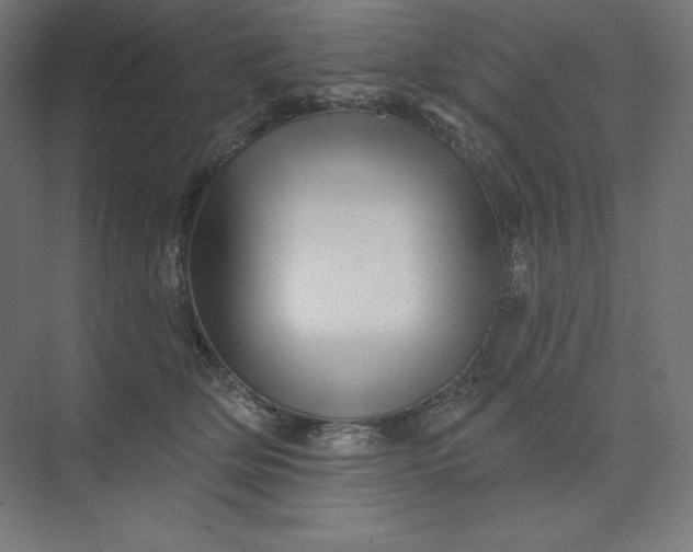 X0000074010514200609061053