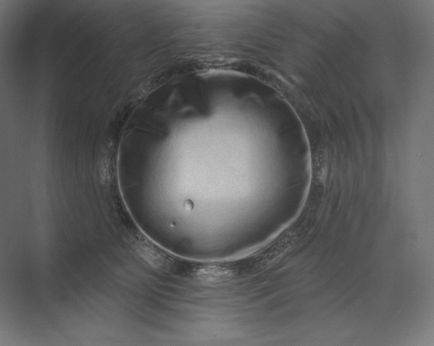 X0000074010515200609061053