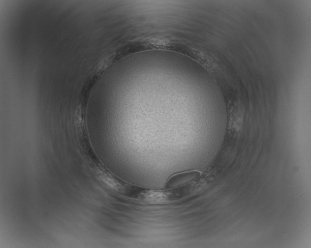 X0000074010518200609061053