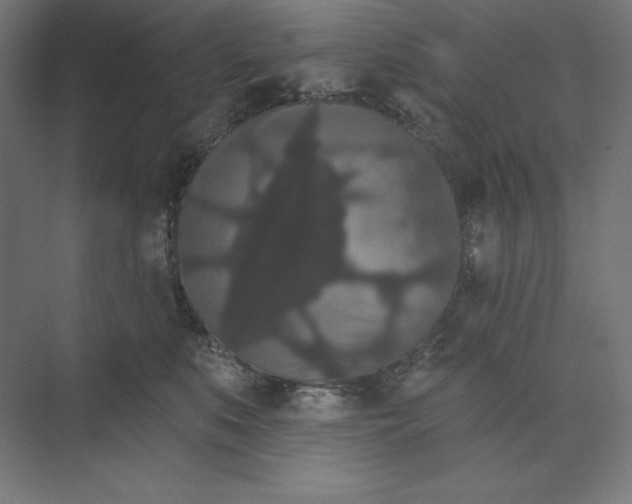 X0000074010519200609061053