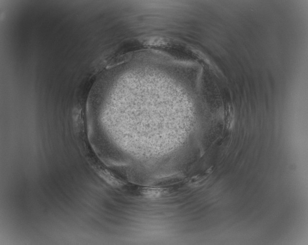 X0000074010521200609061053