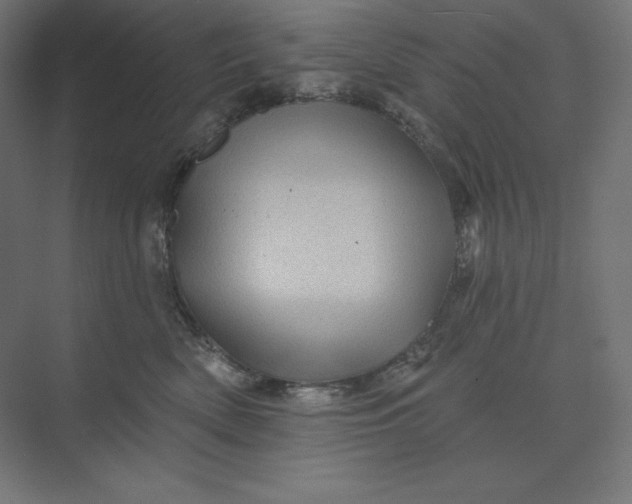 X0000074010522200609061053