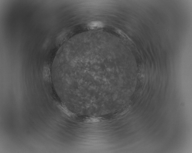 X0000074010523200609061053