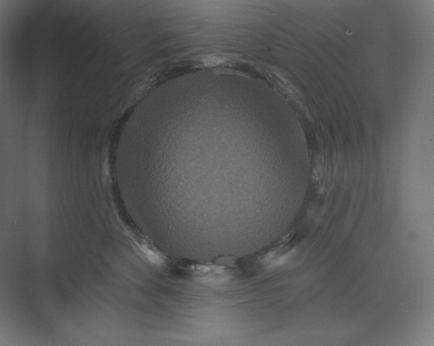 X0000074010524200609061053