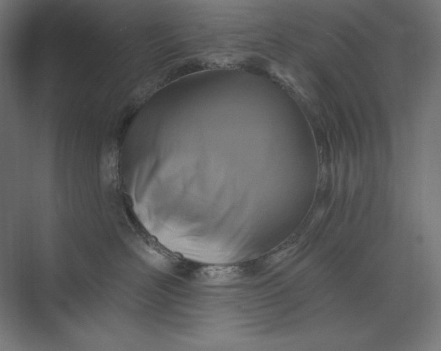 X0000074010526200609061053