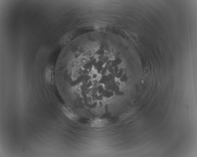 X0000074010527200609061053