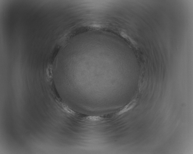 X0000074010528200609061053