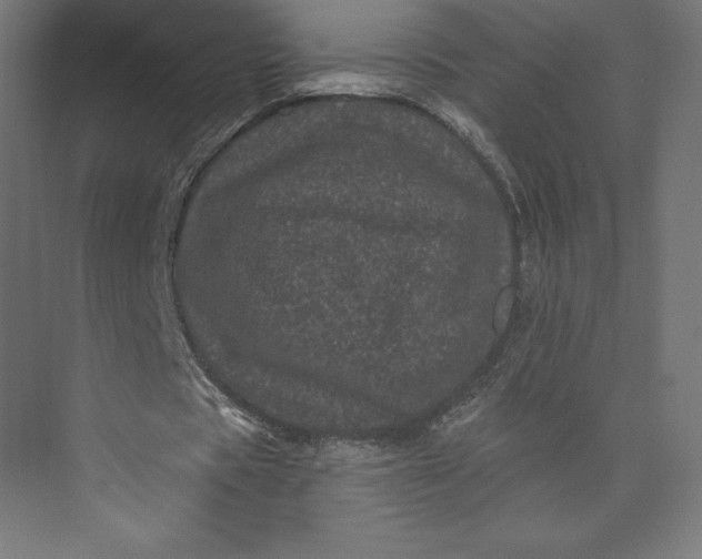 X0000074010529200609061052