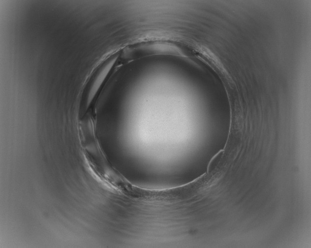 X0000074010530200609061052