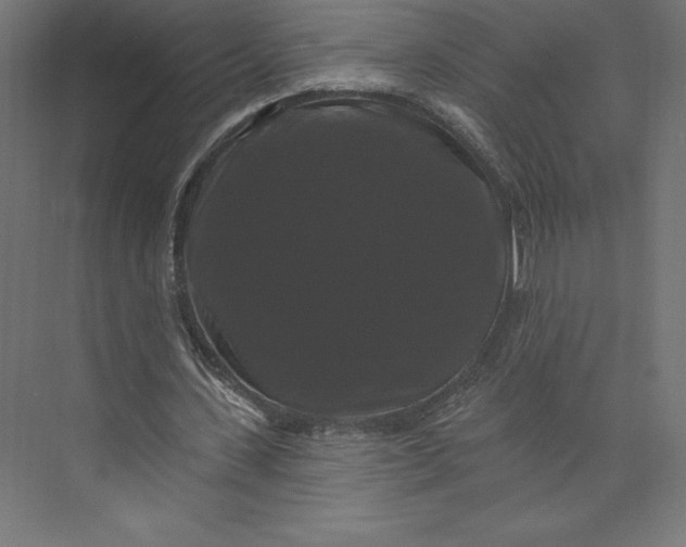 X0000074010531200609061052