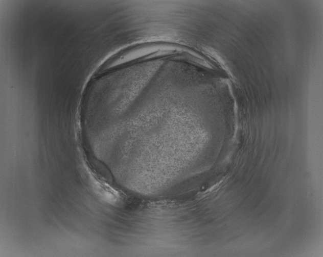 X0000074010532200609061052