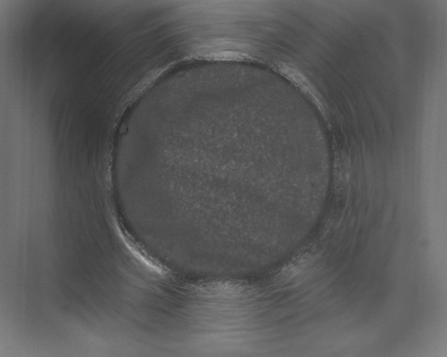 X0000074010533200609061052