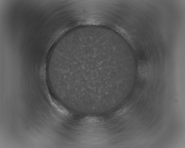 X0000074010534200609061052