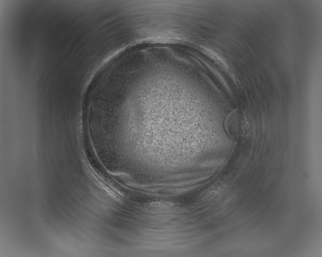 X0000074010535200609061052