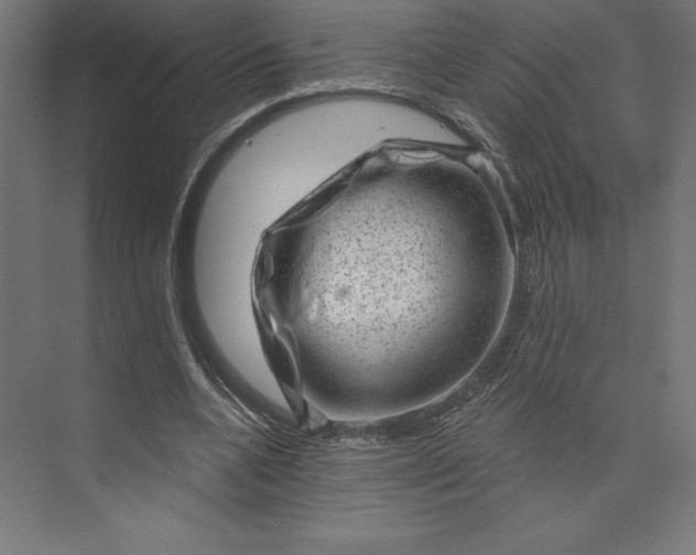 X0000074010536200609061052