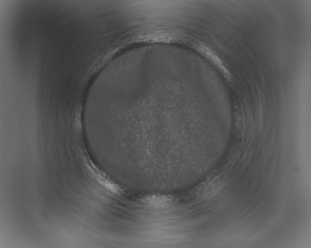 X0000074010537200609061052