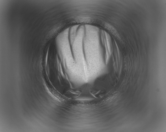 X0000074010538200609061052