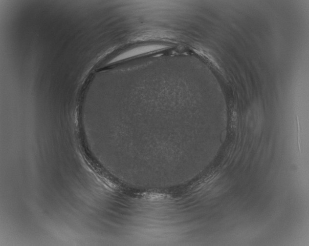 X0000074010539200609061052