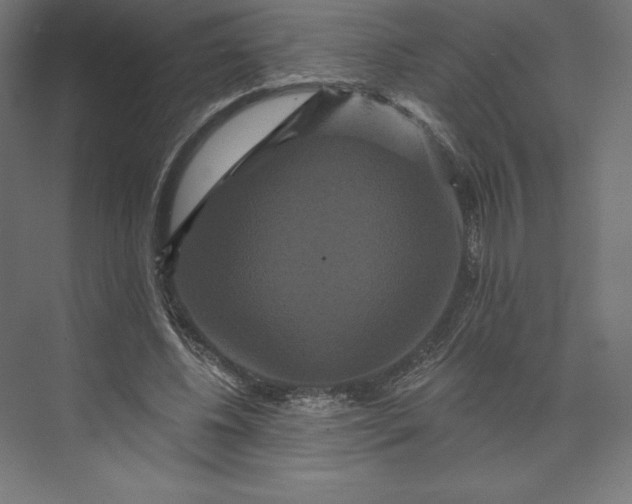 X0000074010540200609061052