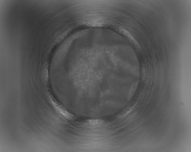 X0000074010541200609061052