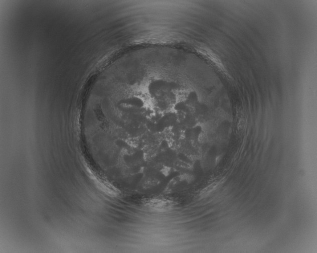 X0000074010542200609061052