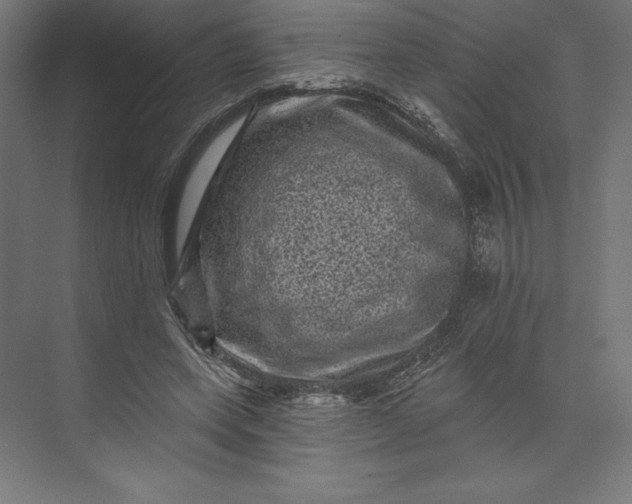 X0000074010543200609061052