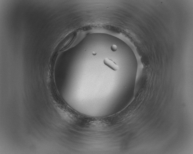 X0000074010544200609061052