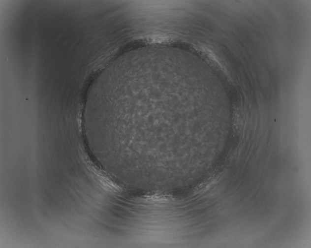 X0000074010545200609061052