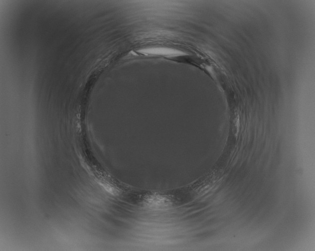 X0000074010547200609061052