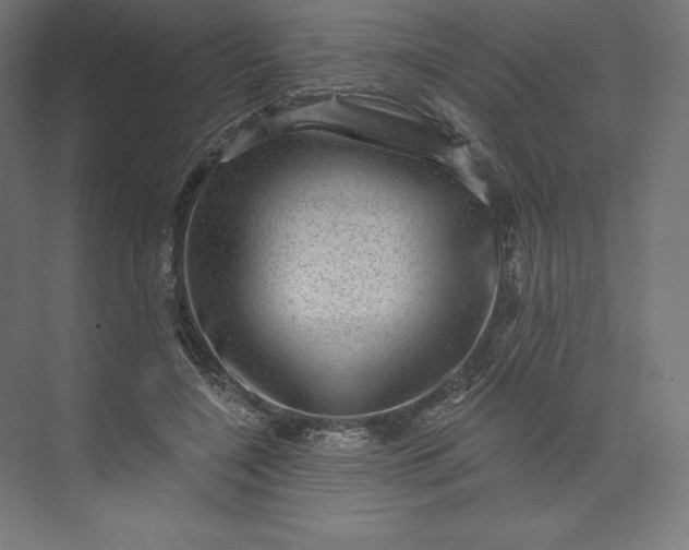 X0000074010548200609061052