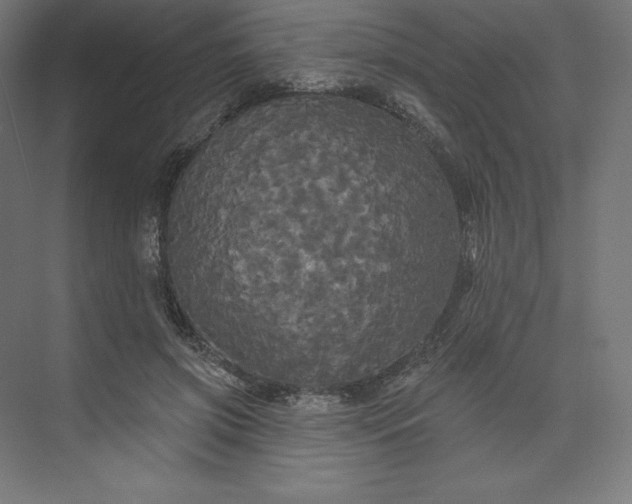 X0000074010549200609061052