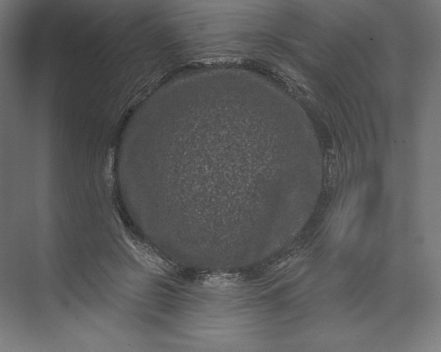 X0000074010550200609061052