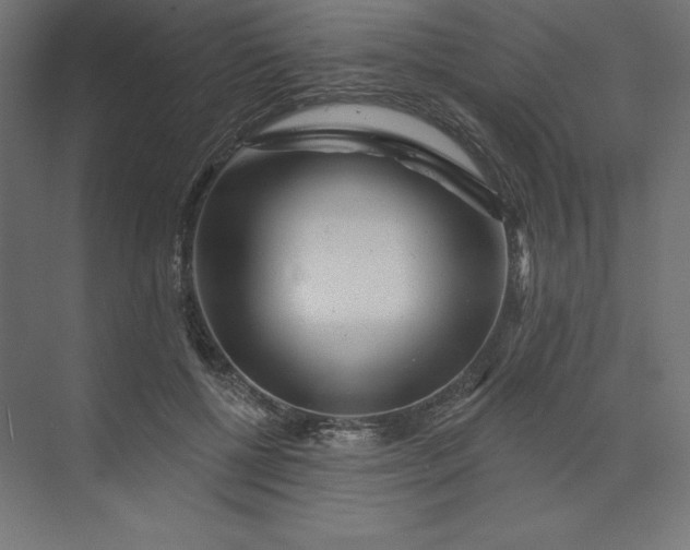 X0000074010552200609061052