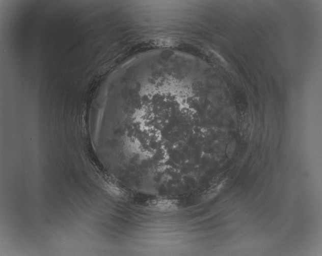 X0000074010553200609061052